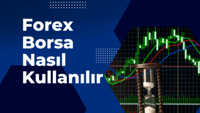 Forex Borsa Nasıl Kullanılır